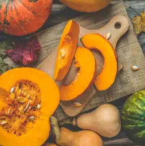 Can Bearded Dragons Eat Pumpkin? A Wide Detail